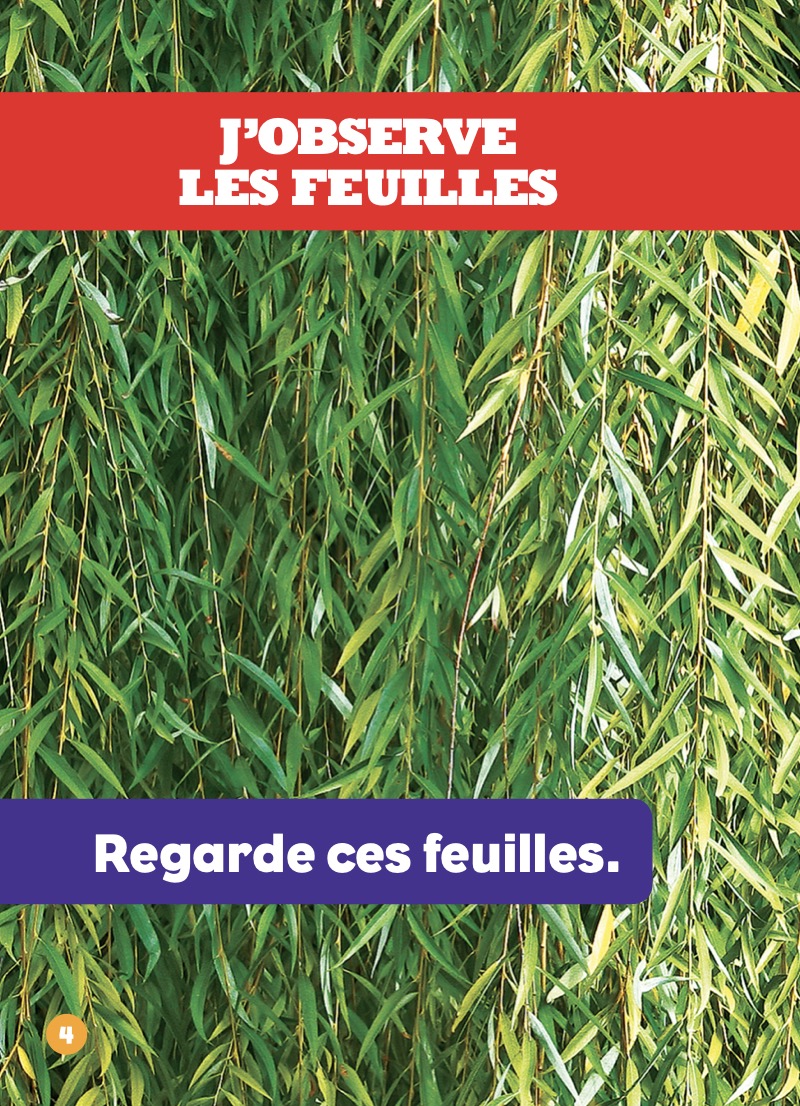 J’observe les feuilles — page 1