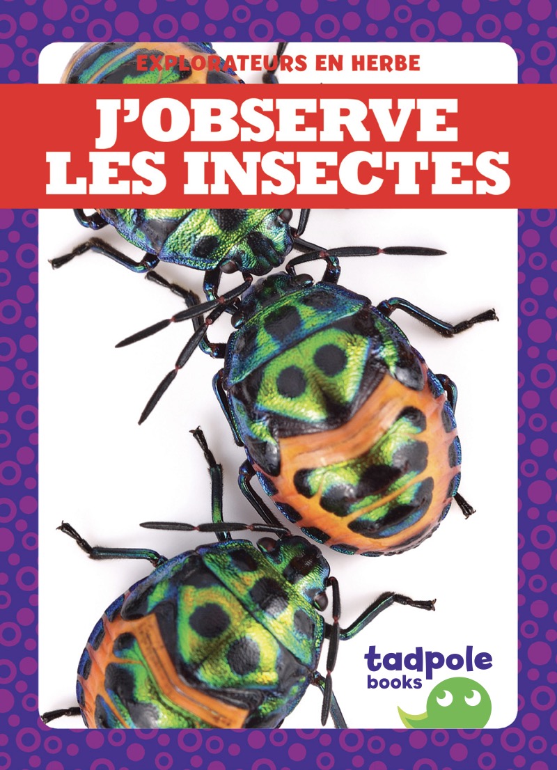 J’observe les insectes book cover
