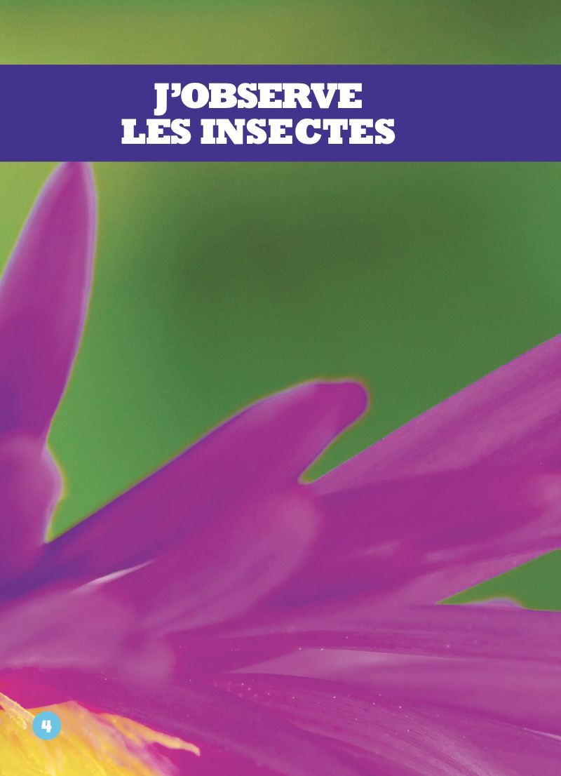 J’observe les insectes — page 1