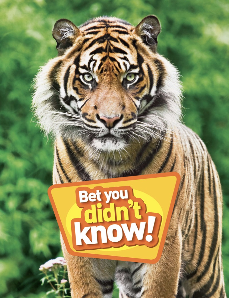 Bet You Didn't Know: Fascinating, Far-out, Fun-tastic Facts! book cover