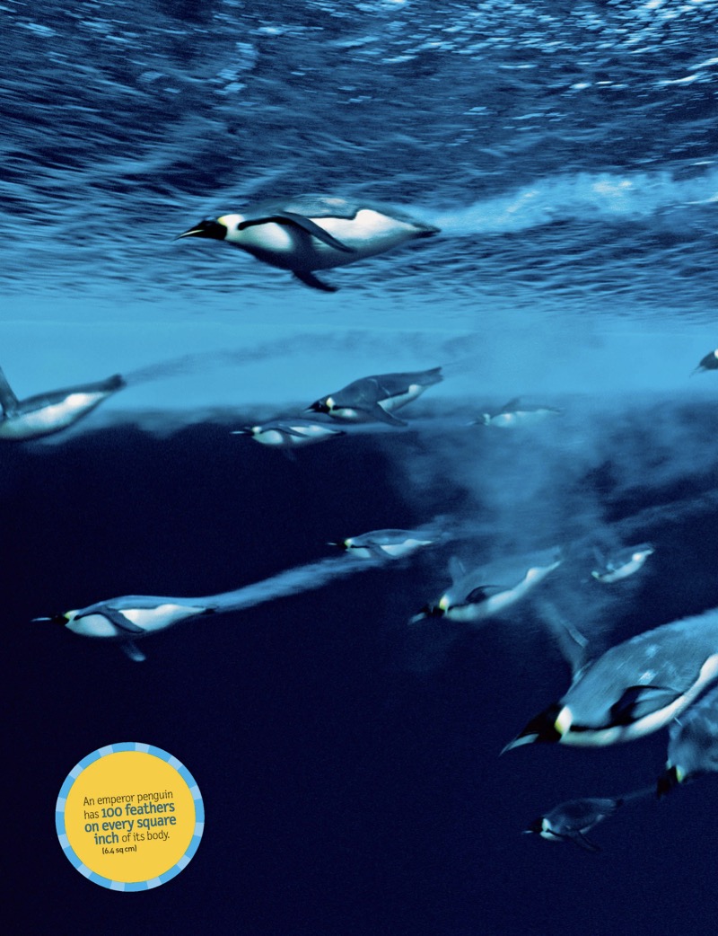 Bet You Didn't Know: Fascinating, Far-out, Fun-tastic Facts! — page 1