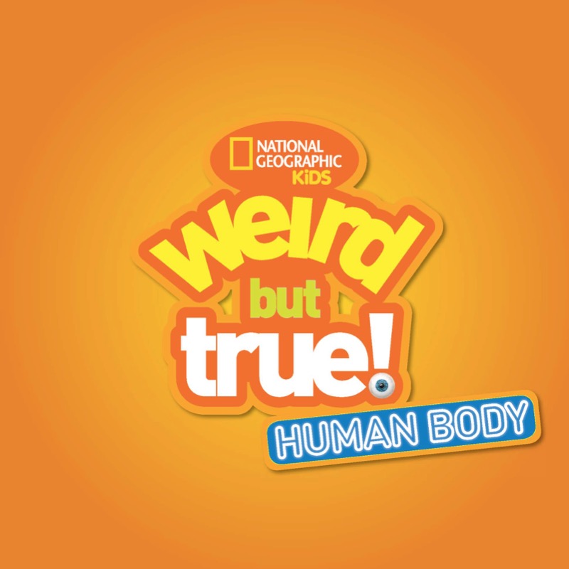 Weird But True Human Body book cover