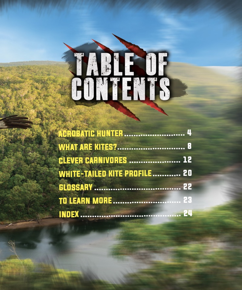 Kites book cover