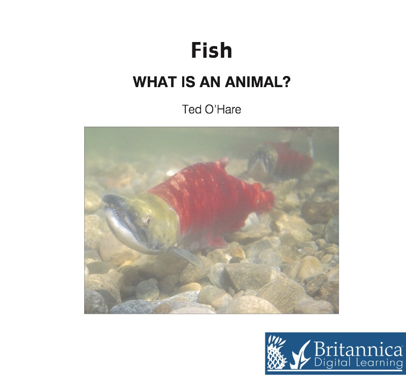 Fish book cover