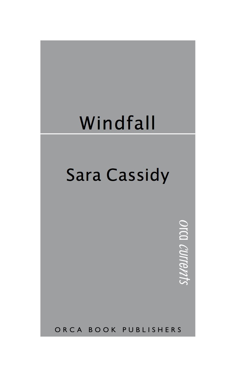 Windfall book cover