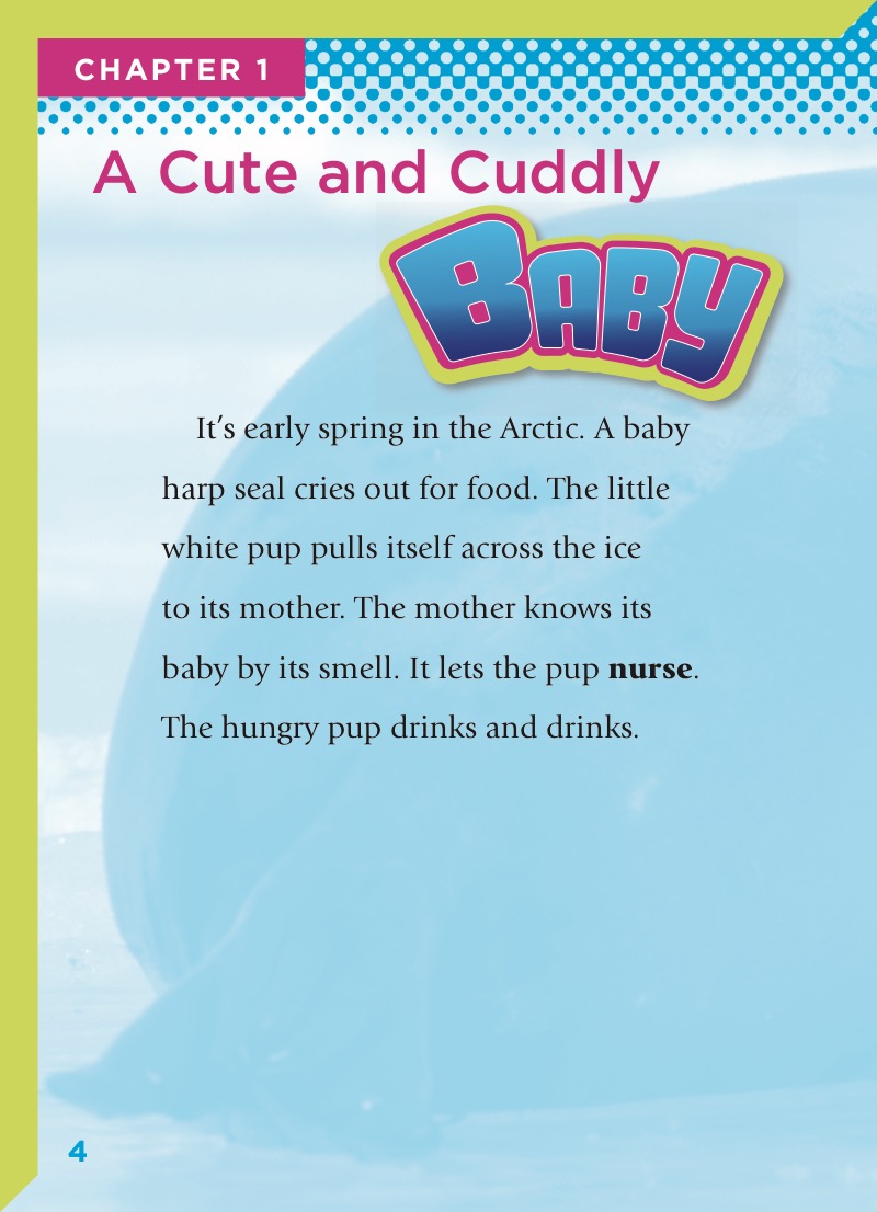 Baby Harp Seals — page 1