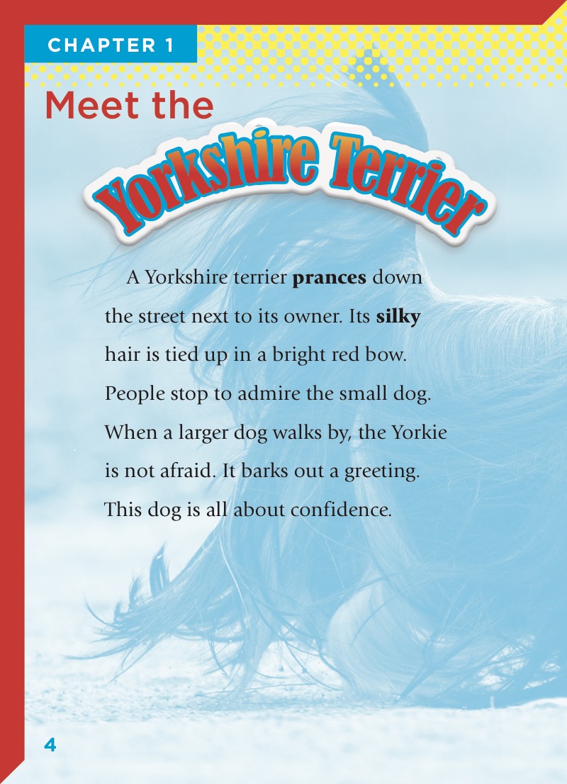 Yorkshire Terriers — page 1