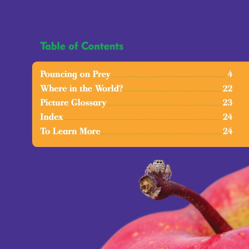 Jumping Spiders book cover