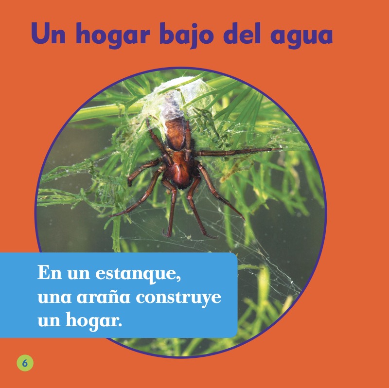 Las arañas de agua — page 1