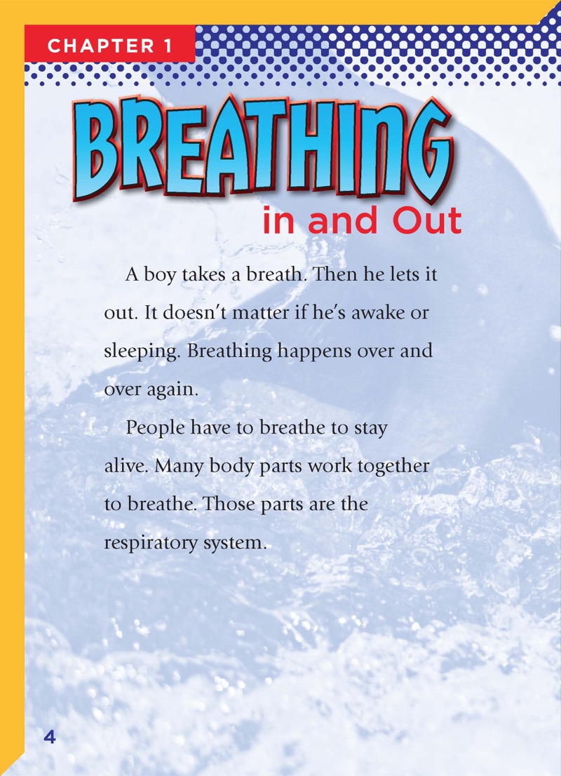 The Respiratory System — page 1