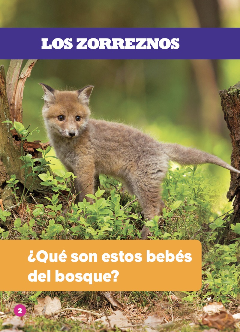 Los zorreznos — page 1