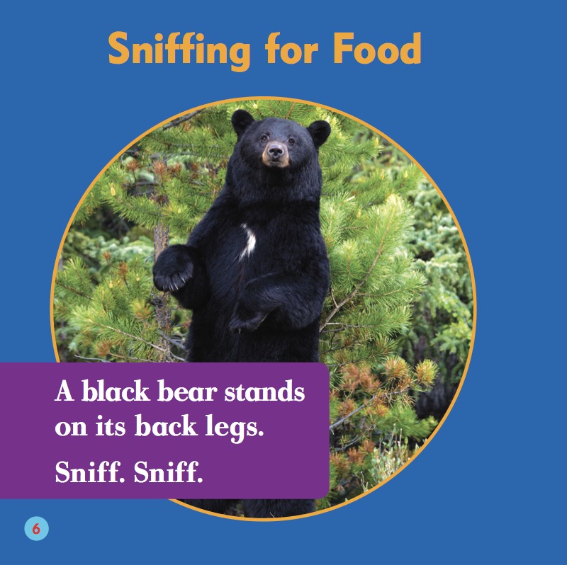 Black Bears — page 1