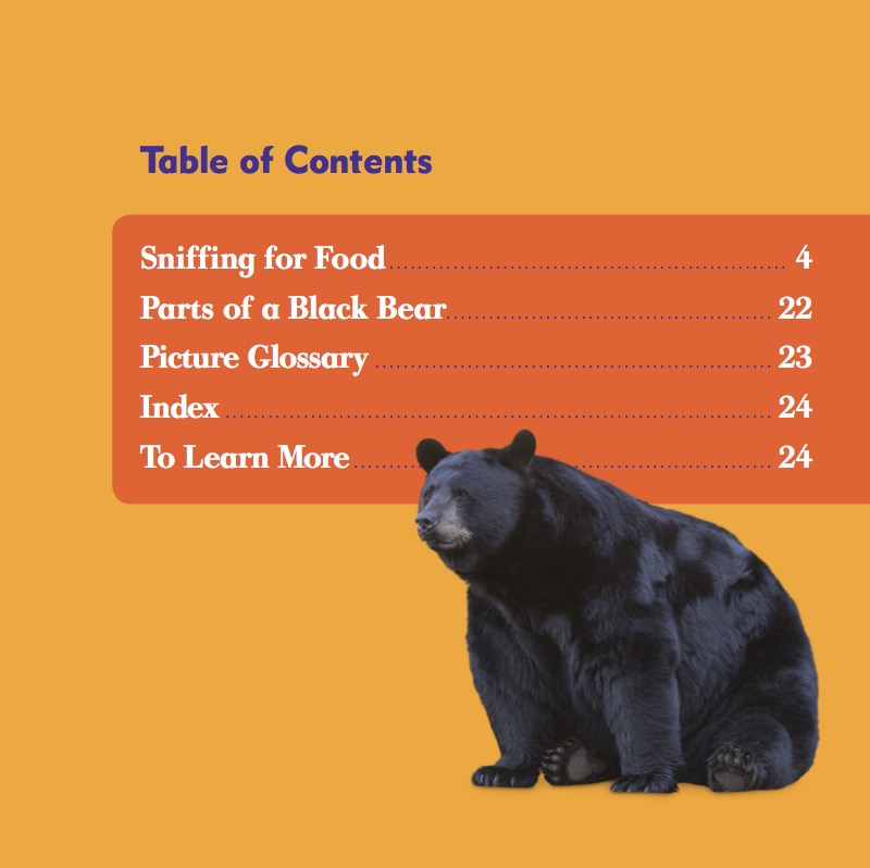 Black Bears book cover