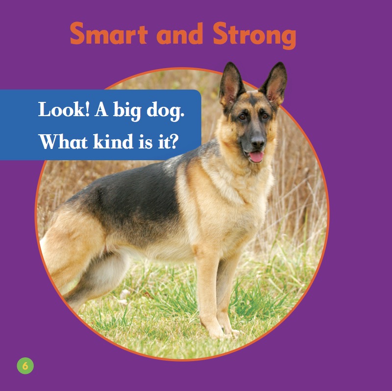 German Shepherds — page 1