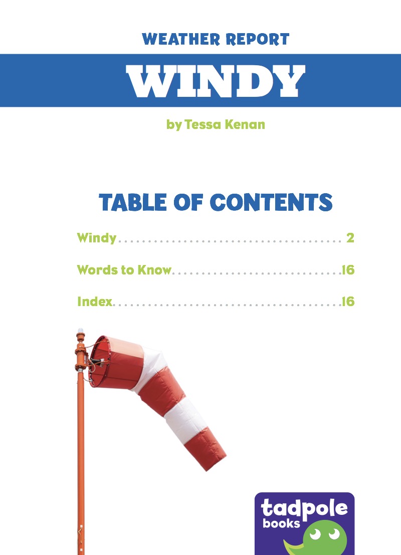 Windy book cover