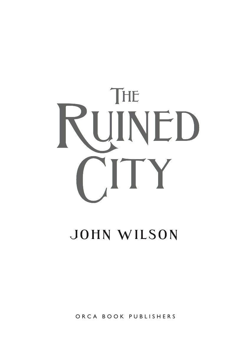 The Ruined City book cover