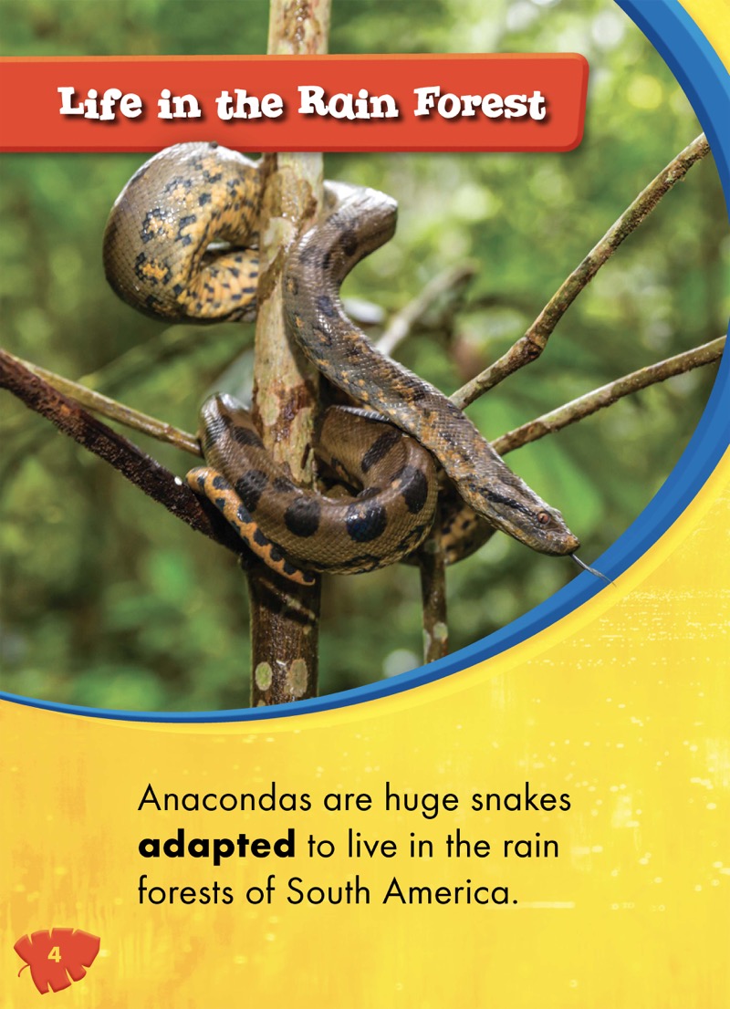 Anacondas — page 1