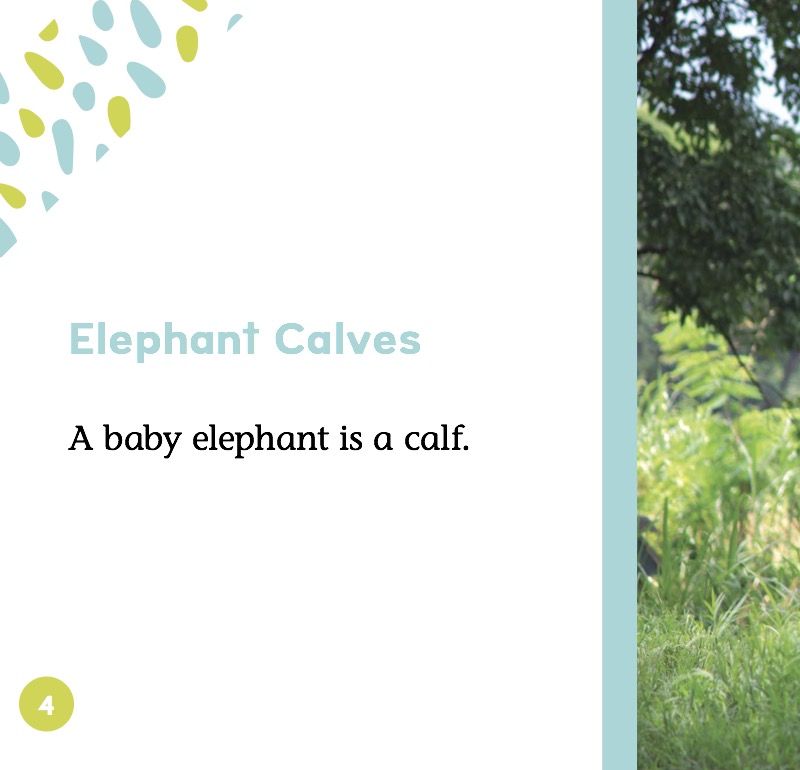 Elephant Calves — page 1