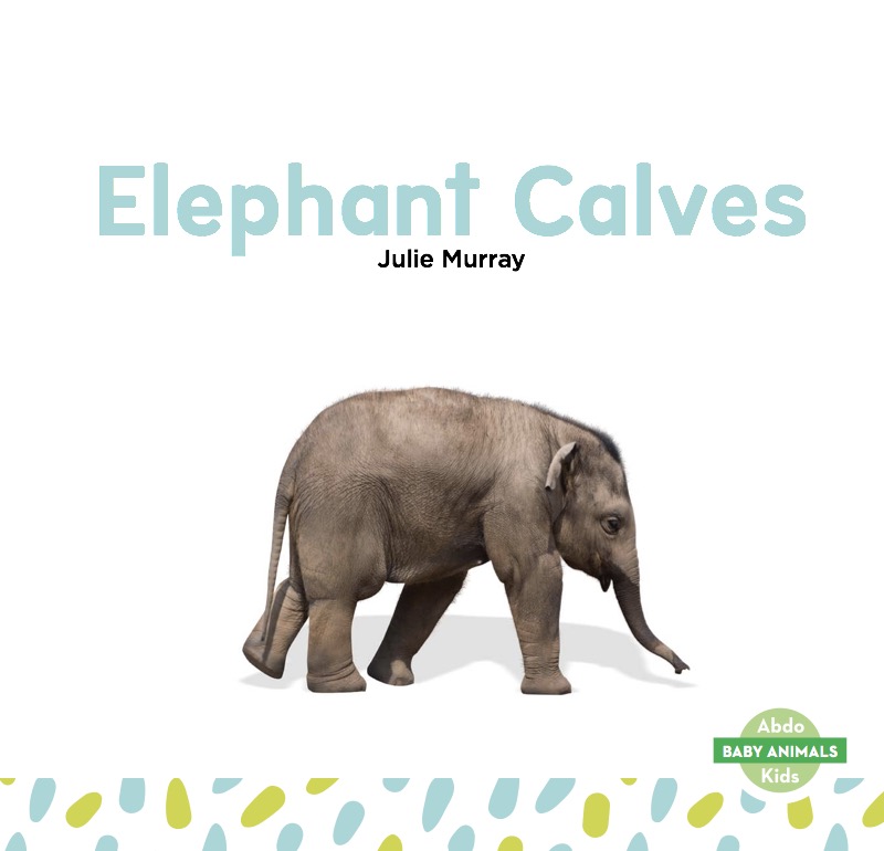 Elephant Calves book cover