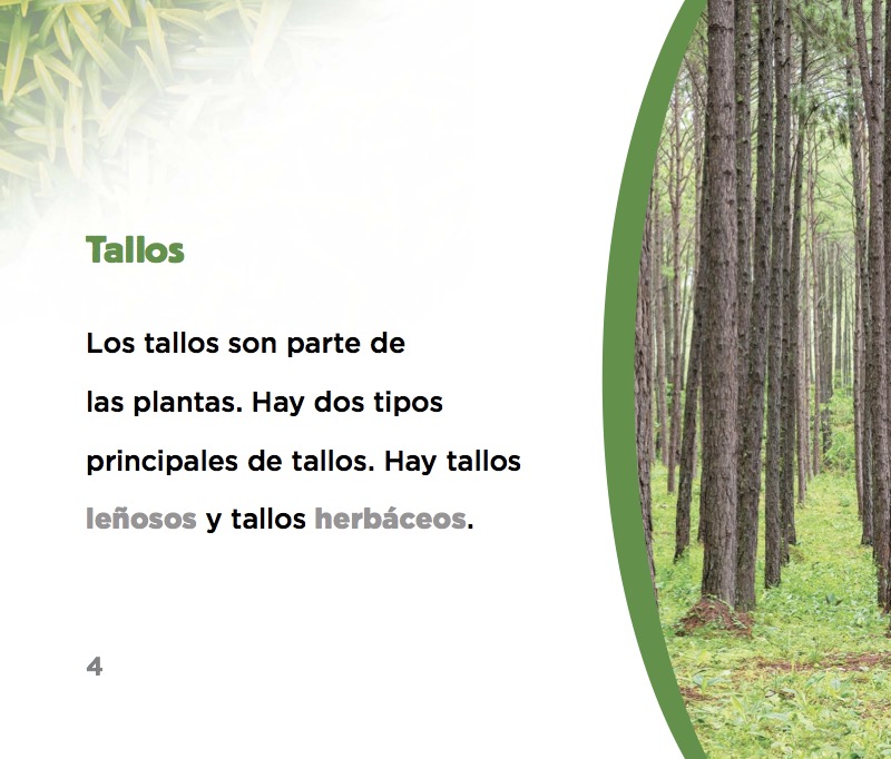 Tallos — page 1
