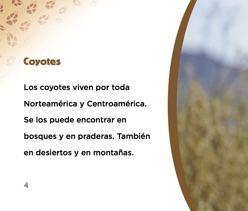 Coyotes — page 1