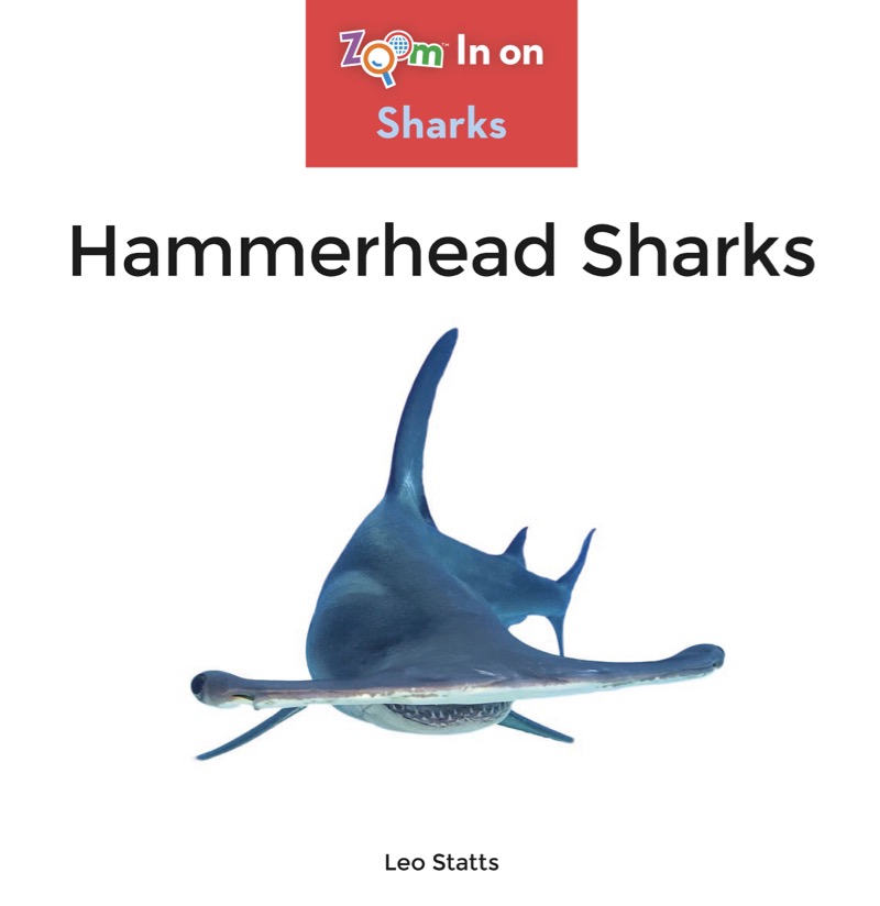 Hammerhead Sharks book cover