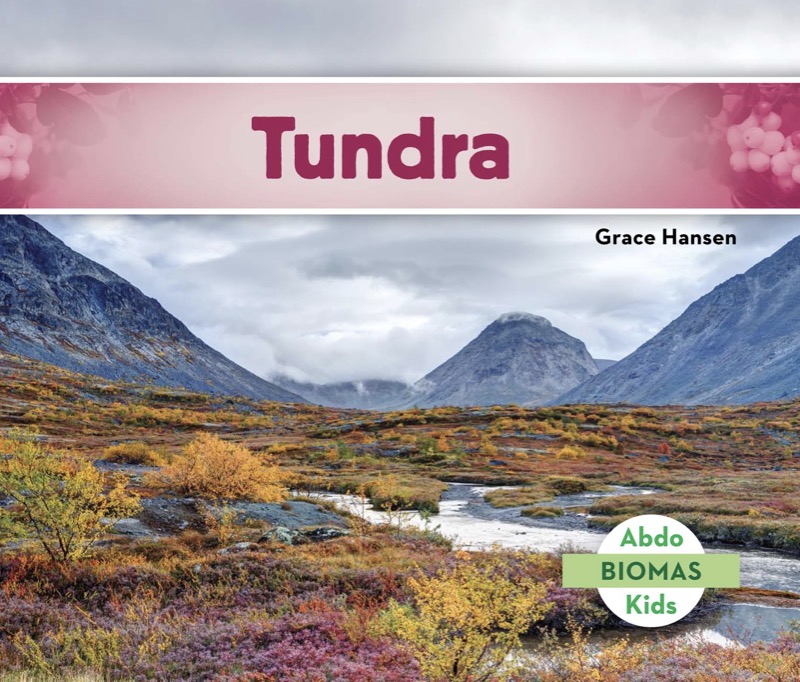 Tundra book cover