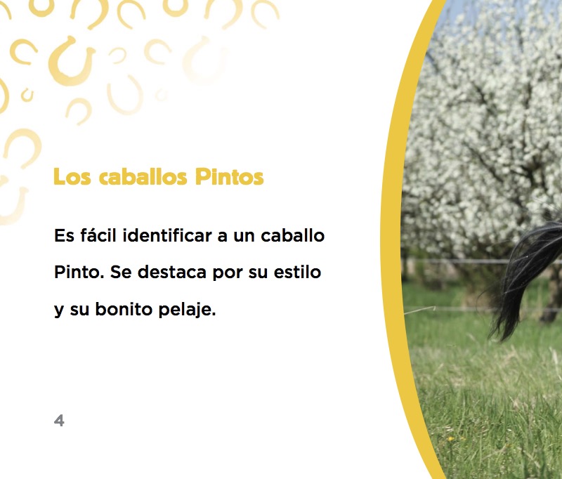Caballo Pinto — page 1