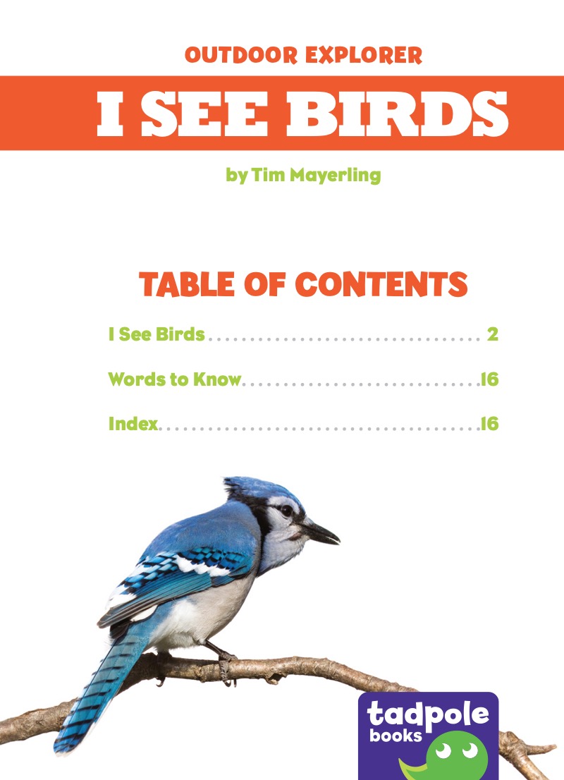 I See Birds book cover