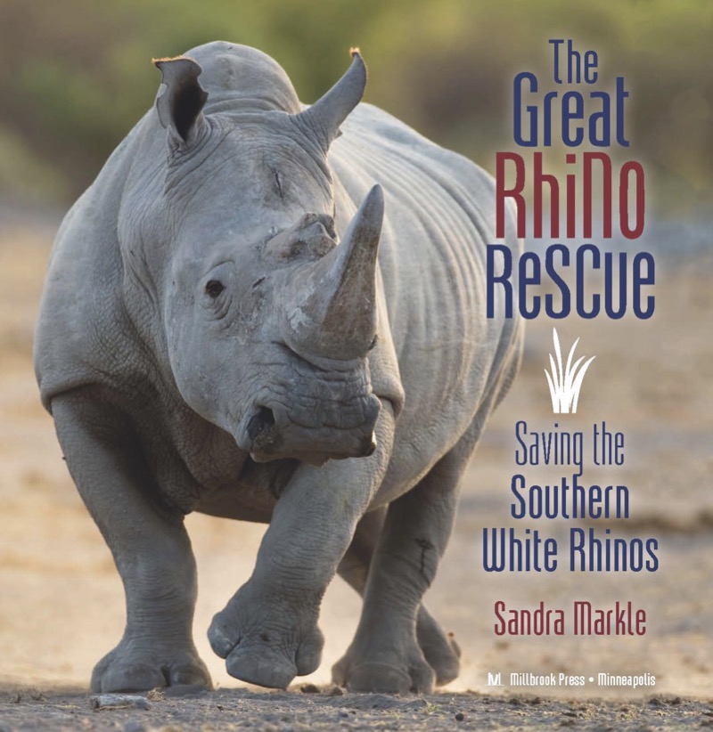 The Great Rhino Rescue: Saving the Southern White Rhinos book cover