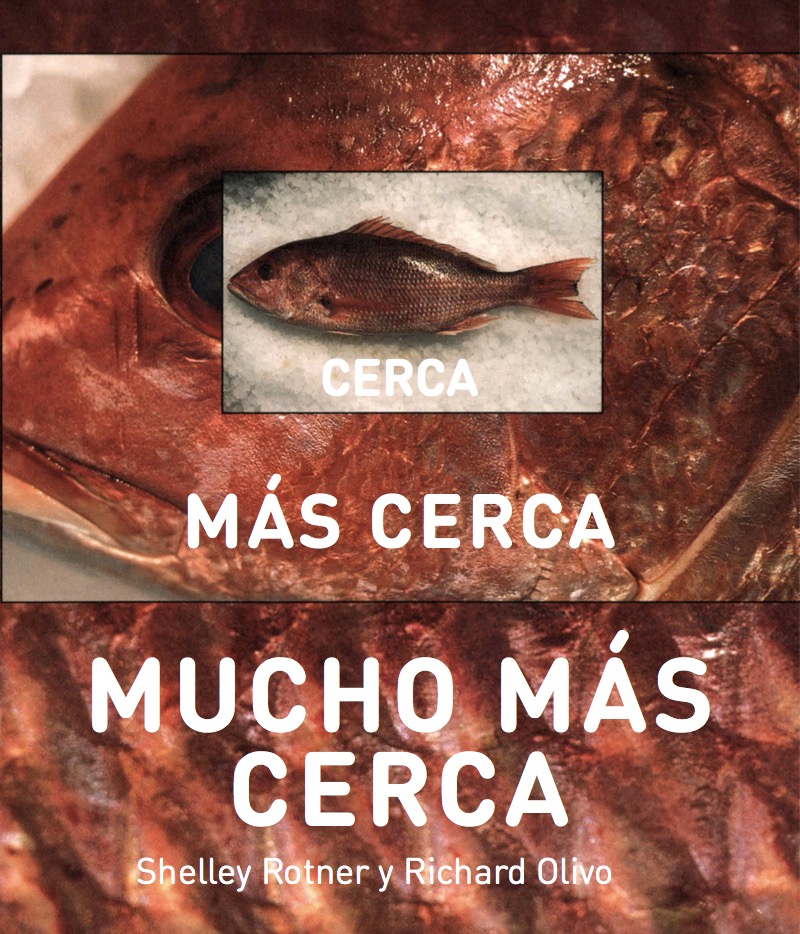 Cerca Más Cerca Mucho Más Cerca book cover
