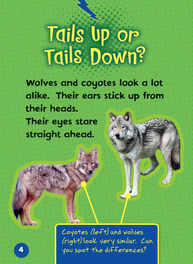 Can you Tell a Coyote from a Wolf? — page 1
