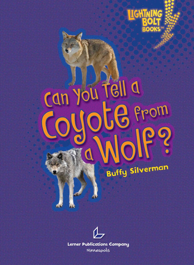 Can you Tell a Coyote from a Wolf? book cover