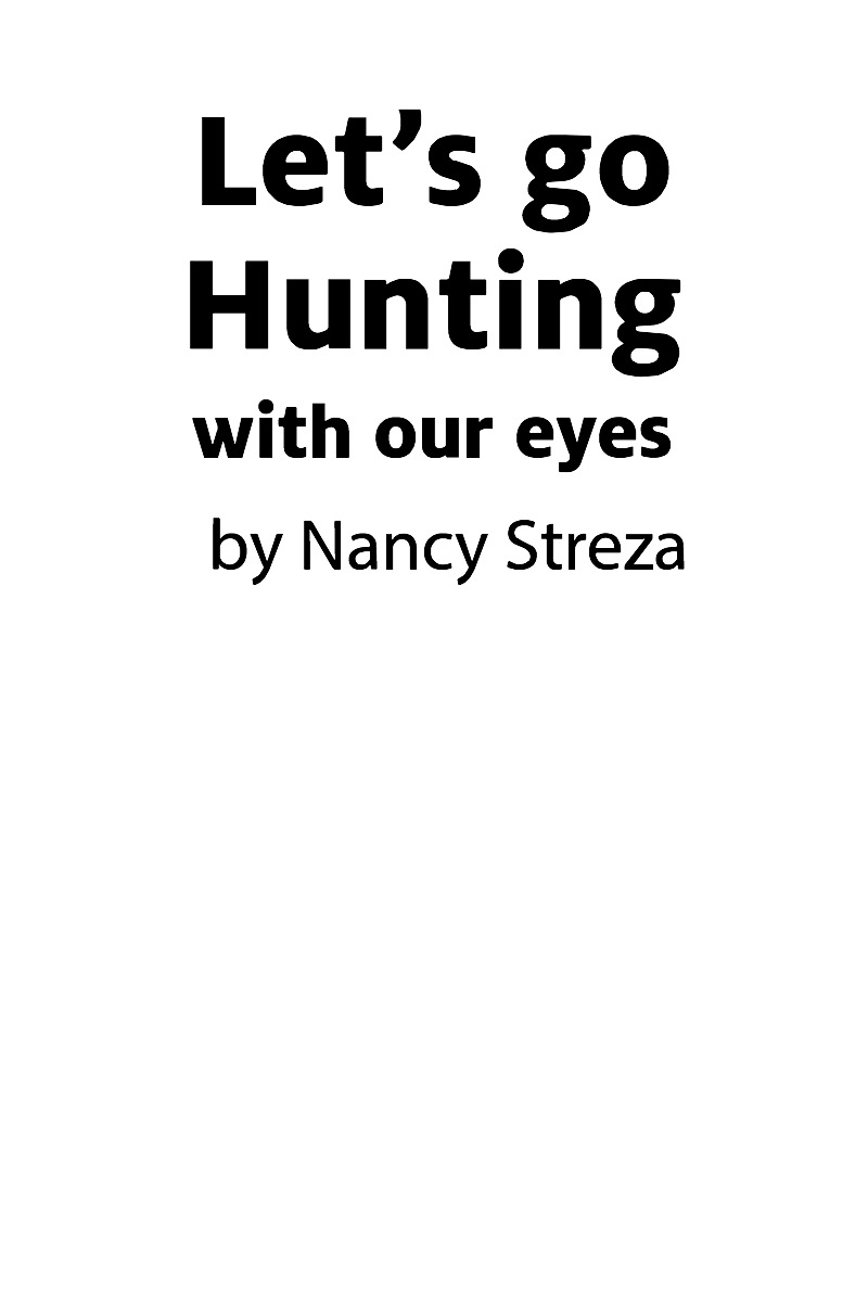 Let's go Hunting (With our Eyes) book cover