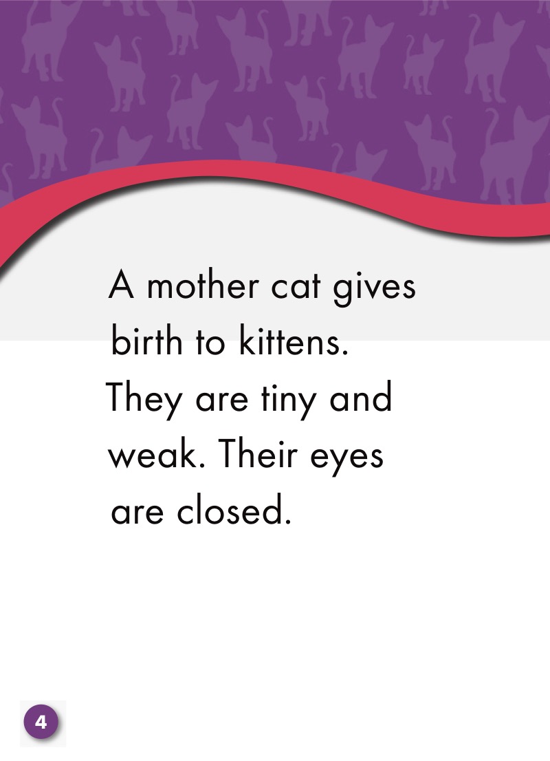 Kittens: Watch Animals Grow — page 1