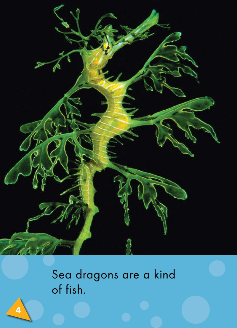 Sea Dragons: Oceans Alive — page 1