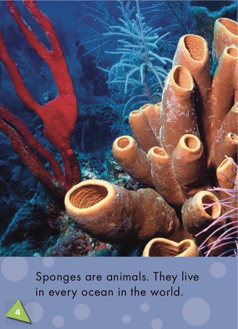 Sponges: Oceans Alive — page 1