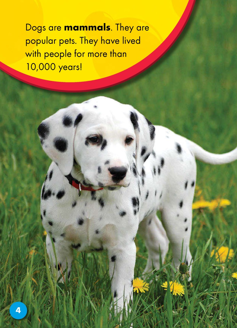 The Life Cycle of a Dog — page 1