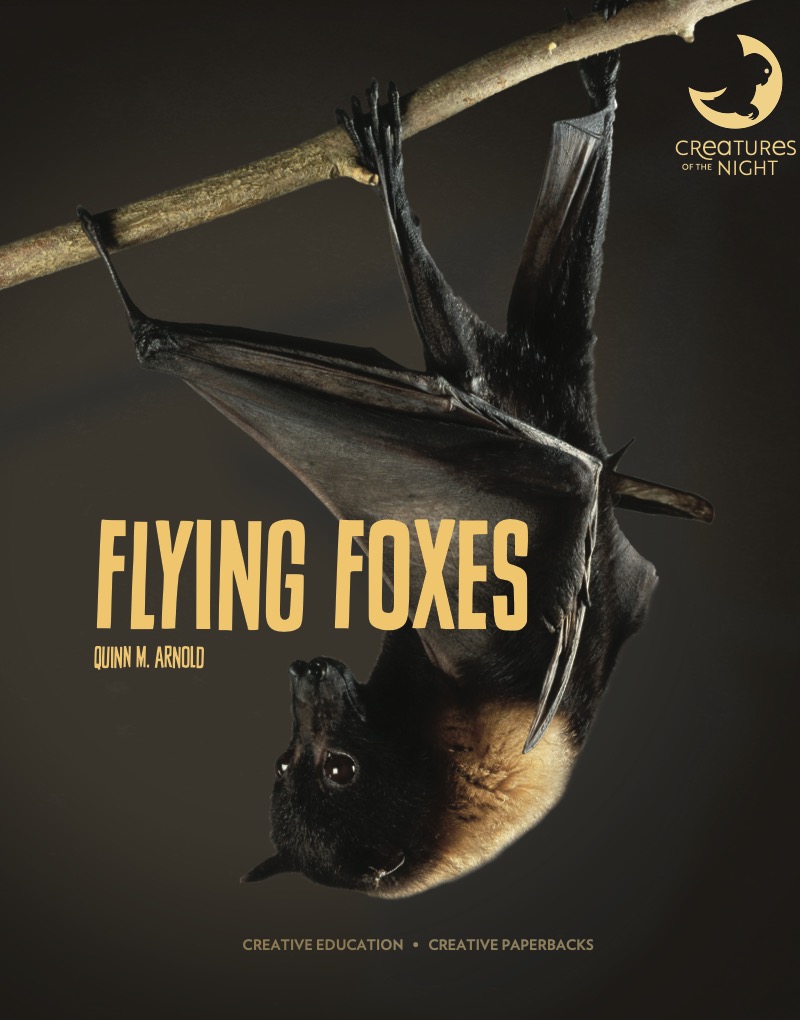 Flying Foxes book cover