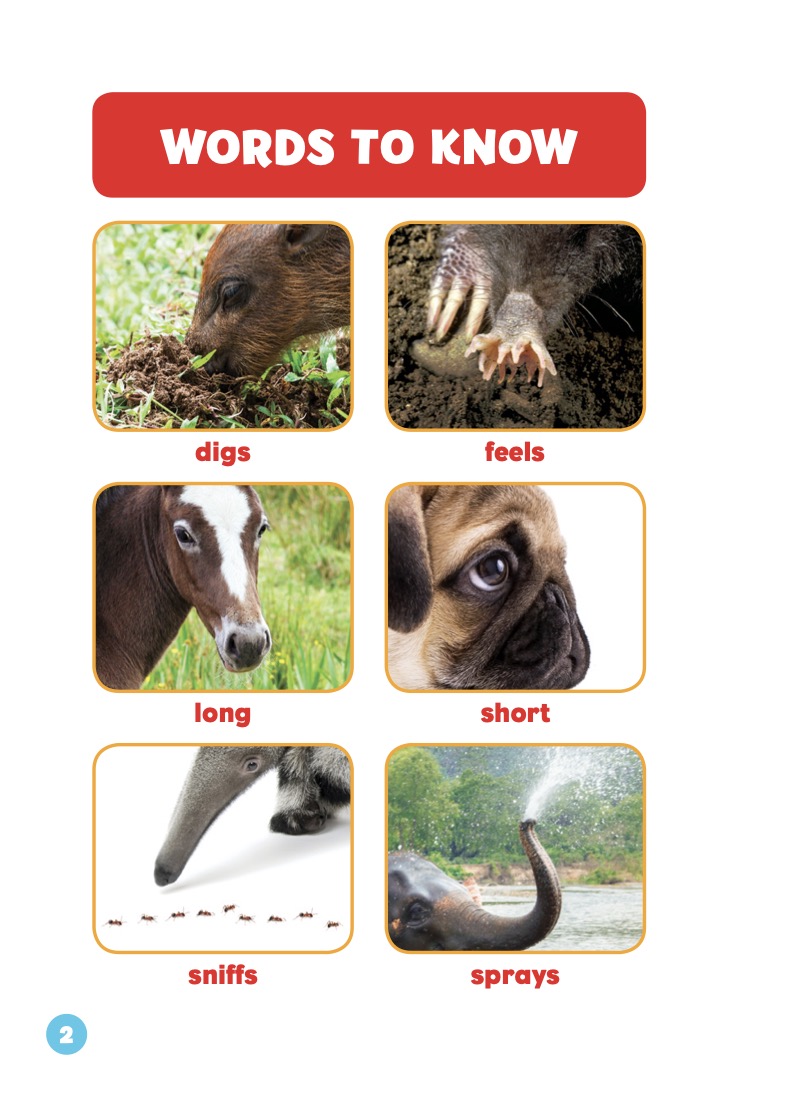 Animal Part Smarts: Noses — page 1
