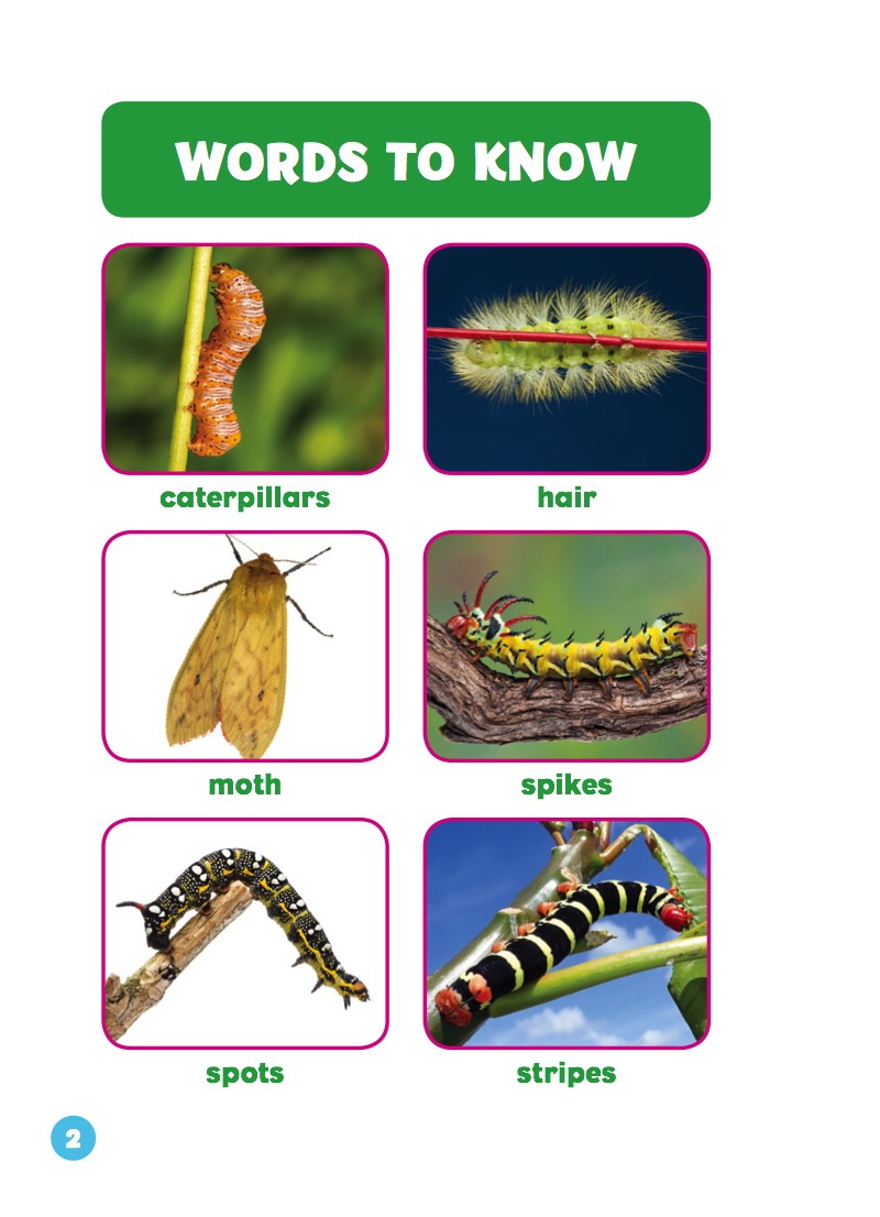 I See Caterpillars — page 1