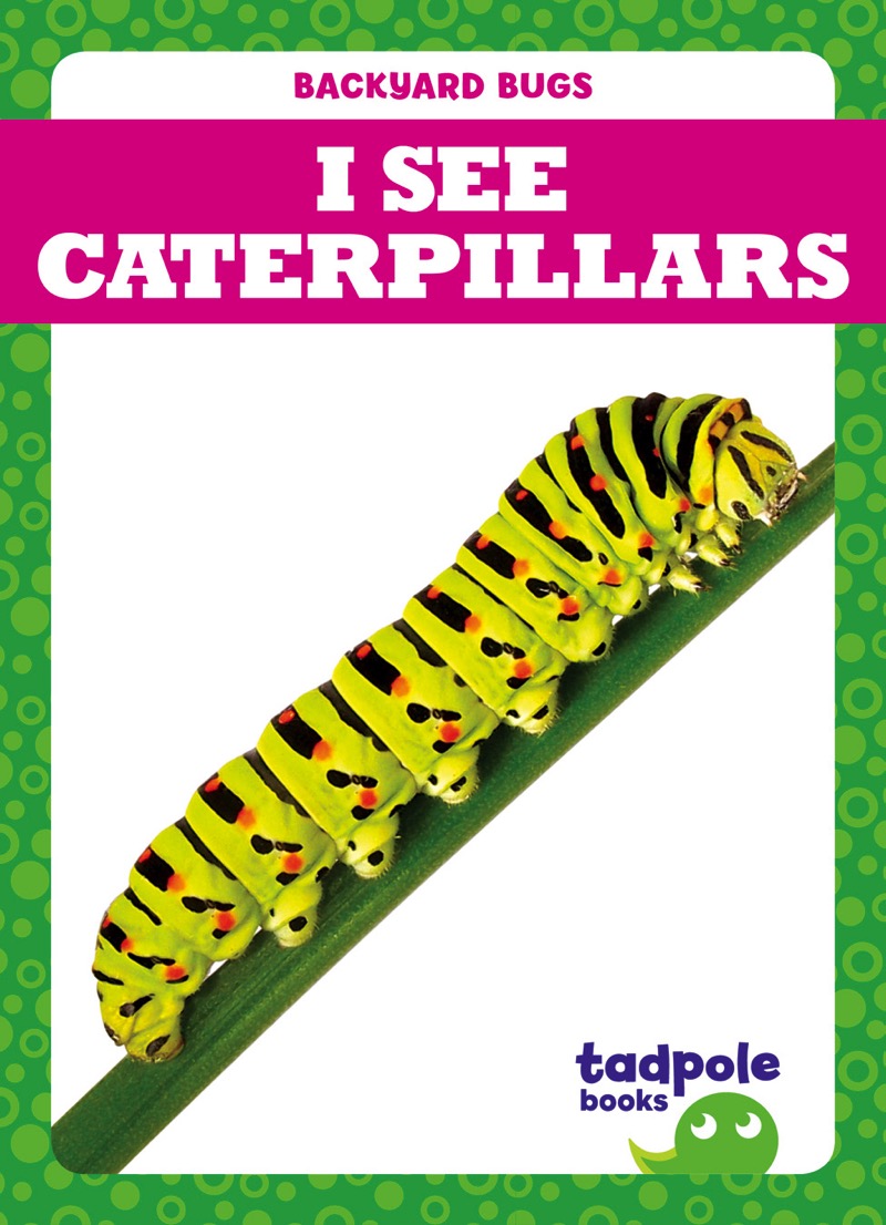 I See Caterpillars book cover