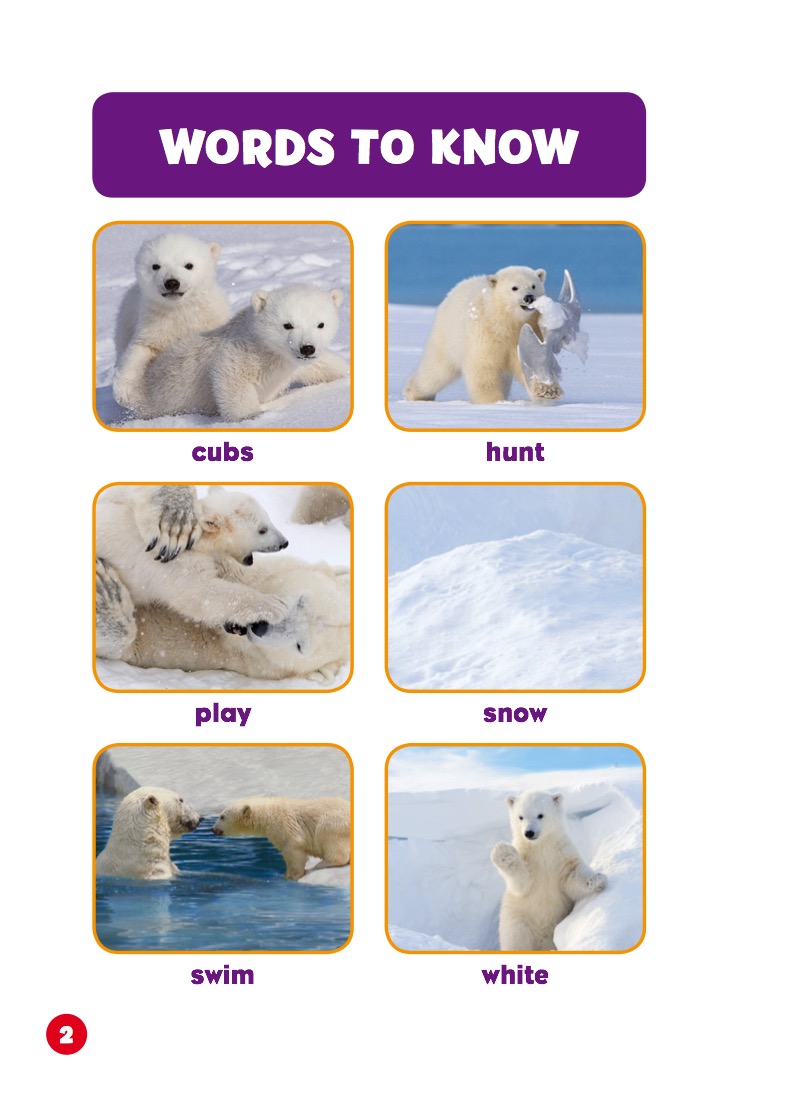 Polar Babies: Polar Bear Cubs — page 1
