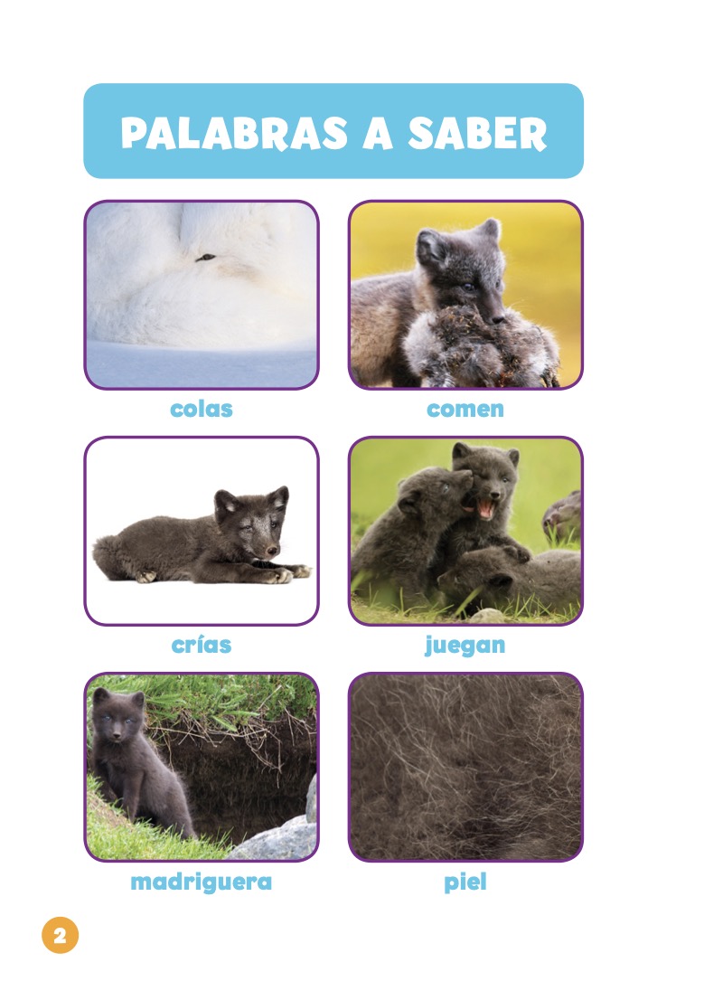 Las crías de los zorros árticos — page 1