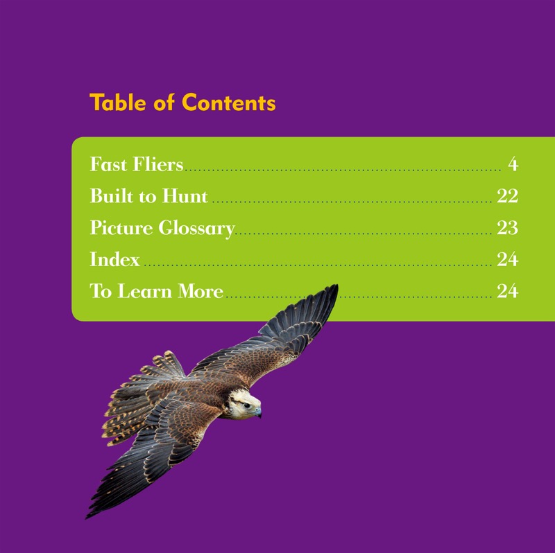 Raptor World: Falcons book cover