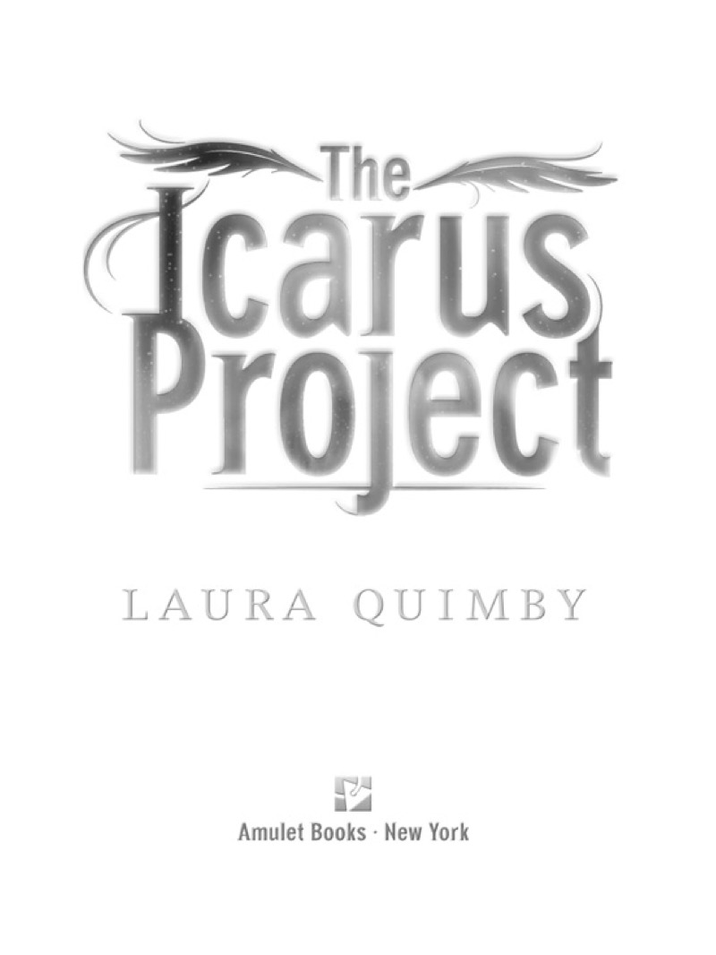 The Icarus Project book cover