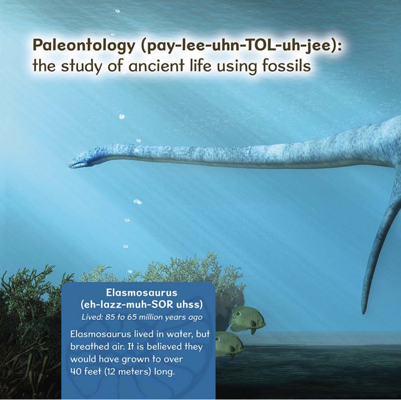 Fossils and Sea Monsters — page 1