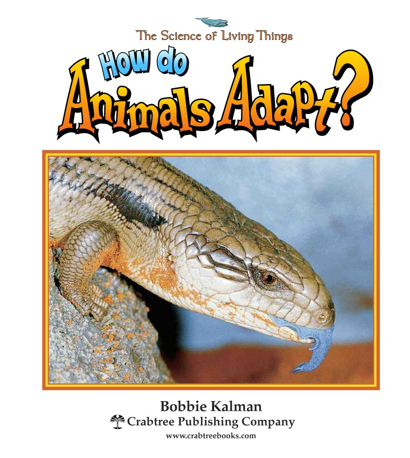 How Do Animals Adapt? book cover