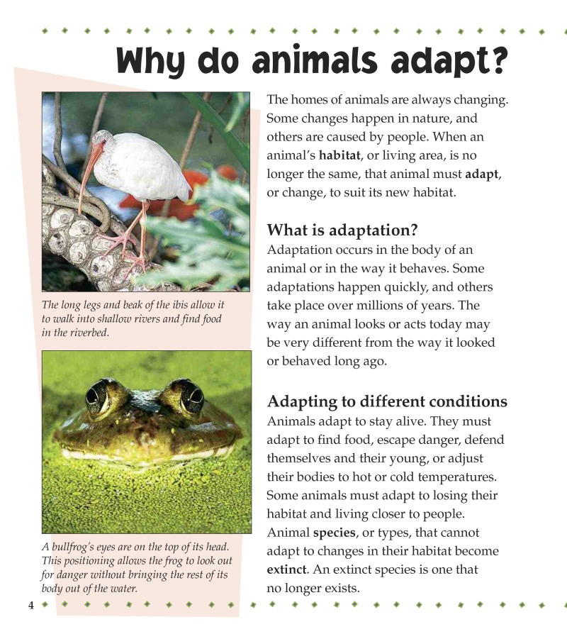 How Do Animals Adapt? — page 1