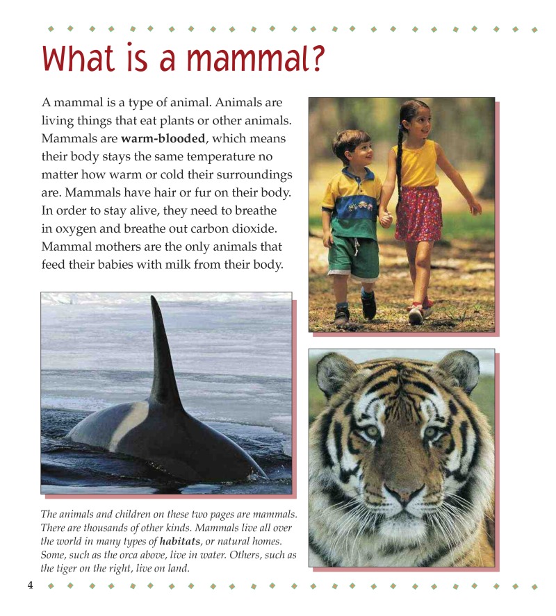 What is a Mammal? — page 1